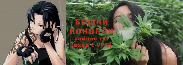 мдпв Бородино