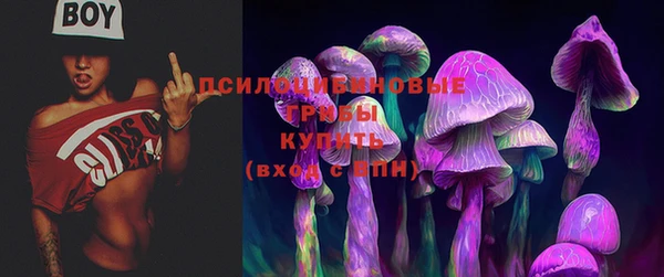 прущие грибы Верхнеуральск
