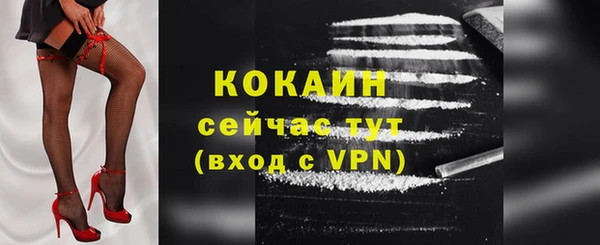 мдпв Бронницы
