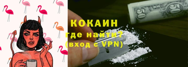 мдпв Бородино