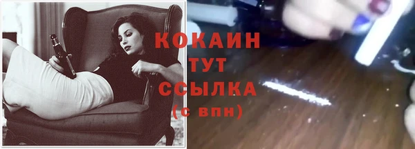 мдпв Бородино