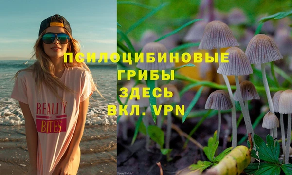 гашик Бугульма