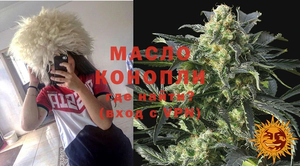 мдпв Бородино