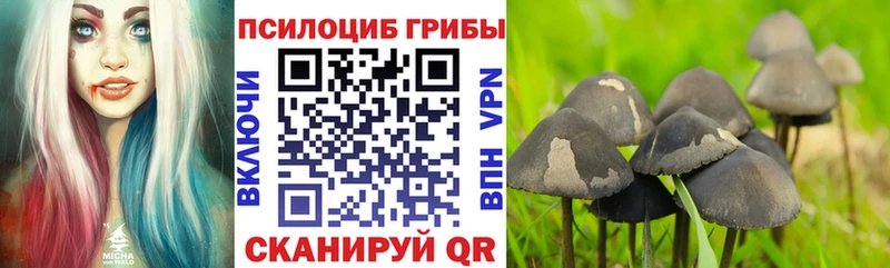 Псилоцибиновые грибы Cubensis Жирновск